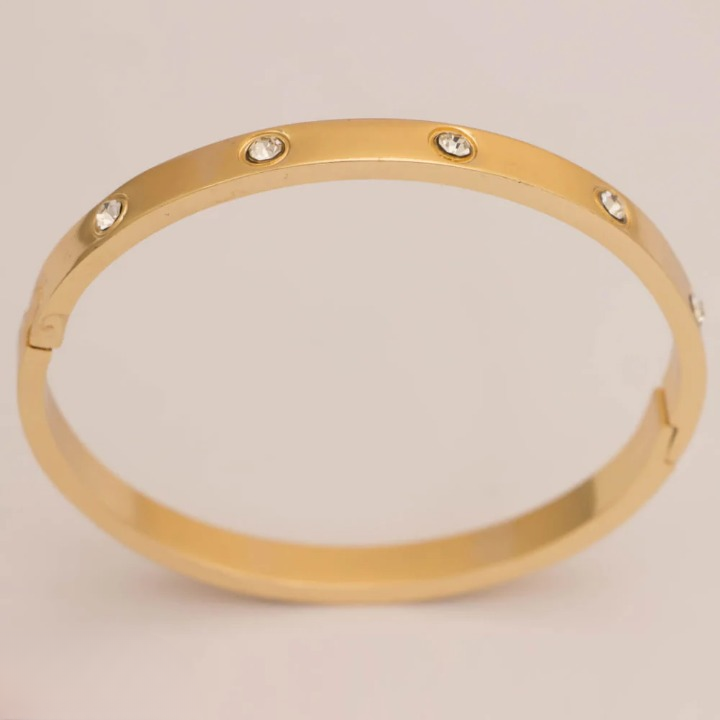 Titanium Bangle